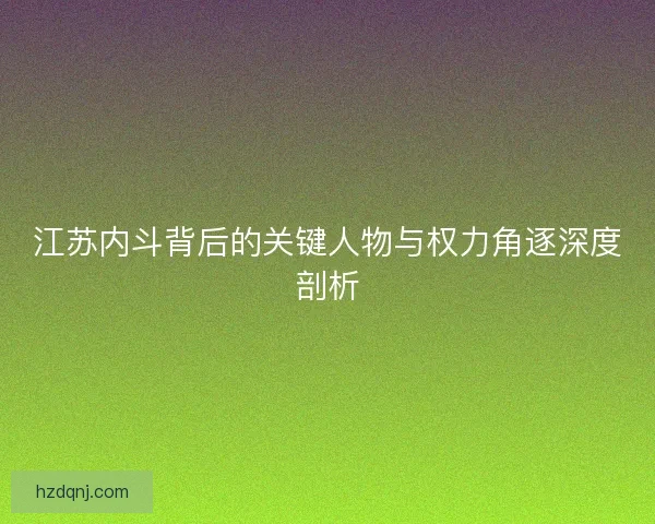 江苏内斗背后的关键人物与权力角逐深度剖析